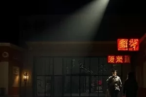 《琥珀纪年》琥珀里封存的一片树叶