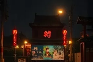 《城市里的小小菜园》阳台泡沫箱里长大的青菜